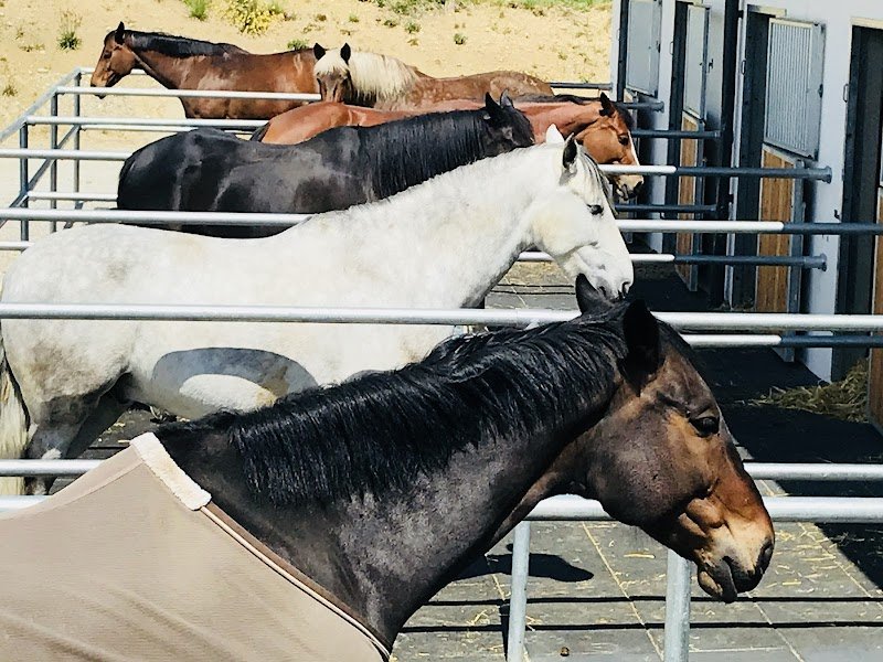 Les Écuries De Lougri - photo 3