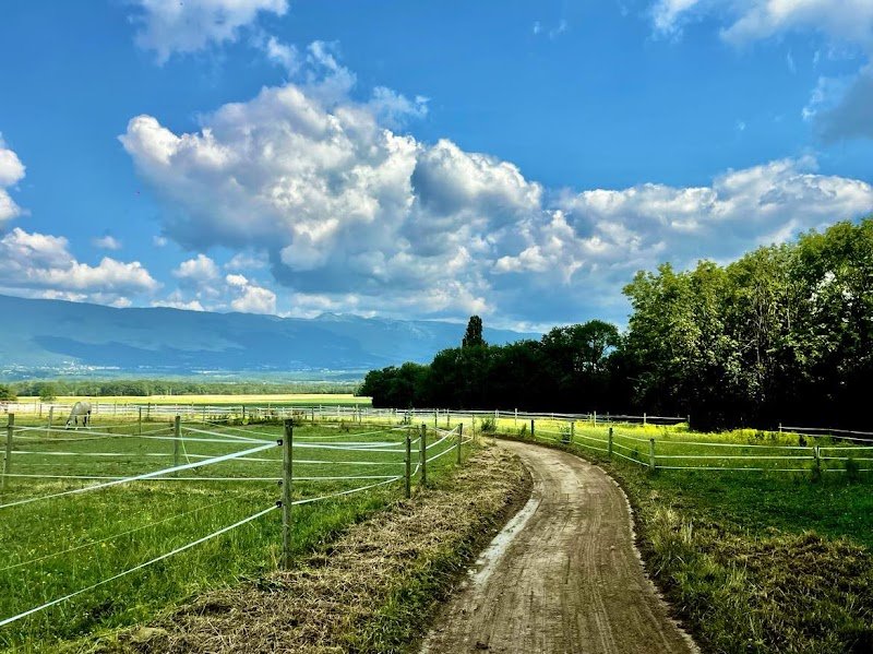 Écuries Divines - photo 2