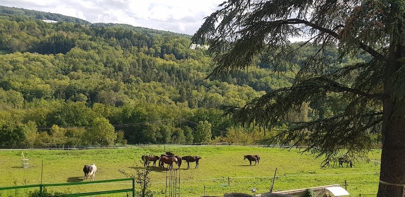 Paddock Paradise Lorette - photo 1