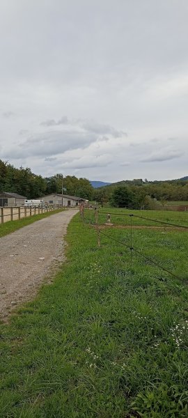 Ecuries de la Gravelière - photo 3