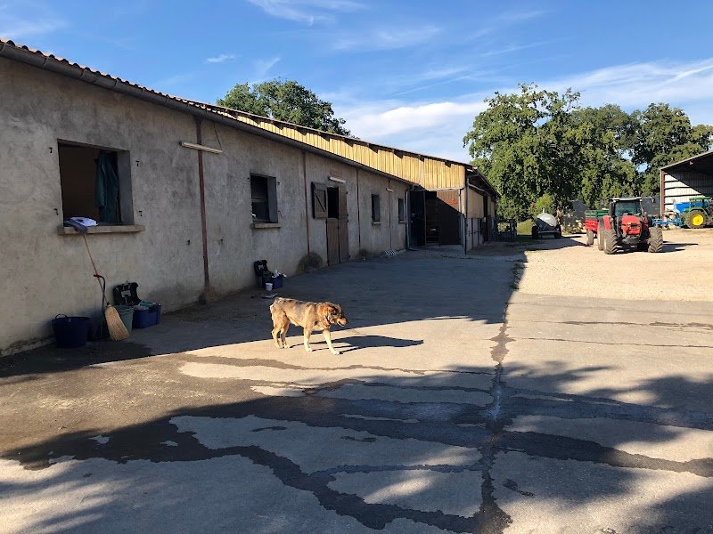 EARL LA PRAILLE - FERME CLAVEL - ÉCURIE DE PROPRIÉTAIRE - photo 1