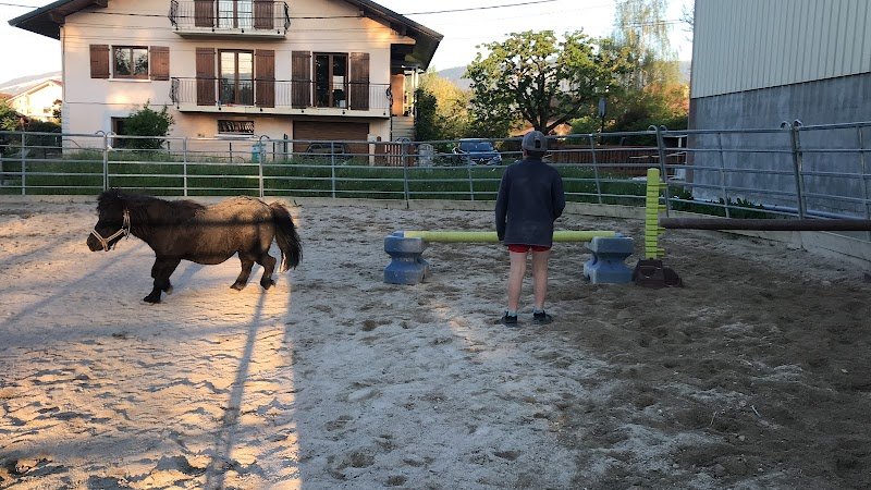 EARL LA PRAILLE - FERME CLAVEL - ÉCURIE DE PROPRIÉTAIRE - photo 2