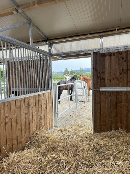 Les Écuries du Biollay - photo 2