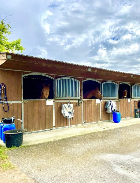 Ecurie Xavier Ducotterd - photo 1