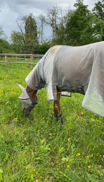 Ecurie Xavier Ducotterd - photo 3