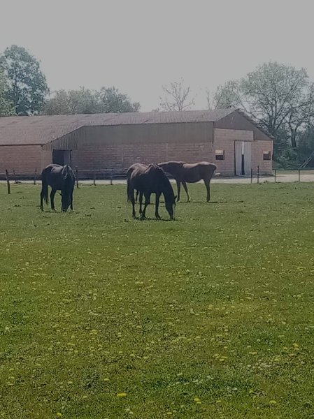 écurie de poumeyrol - photo 1
