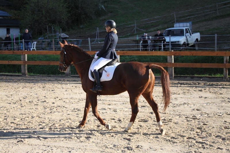 Ecuries des Balmettes - photo 2