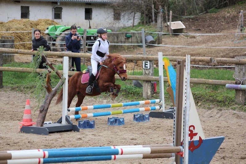 Ecuries des Balmettes - photo 3