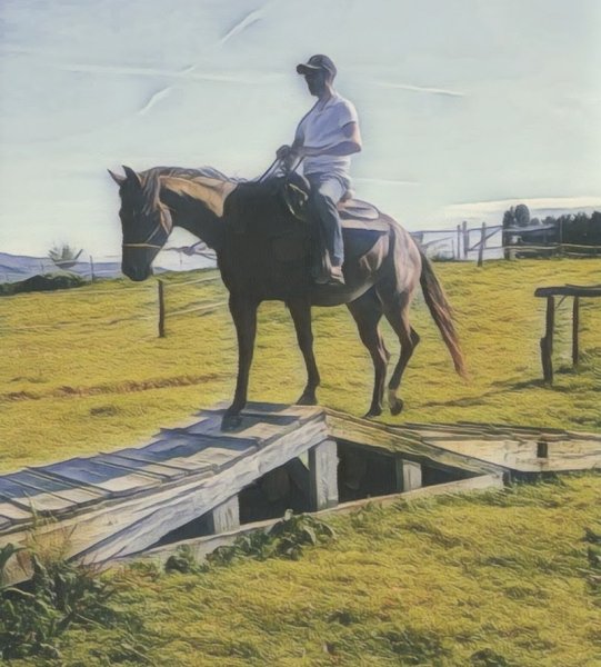 Ecurie du Pottier Aurélien Lacanale - photo 3