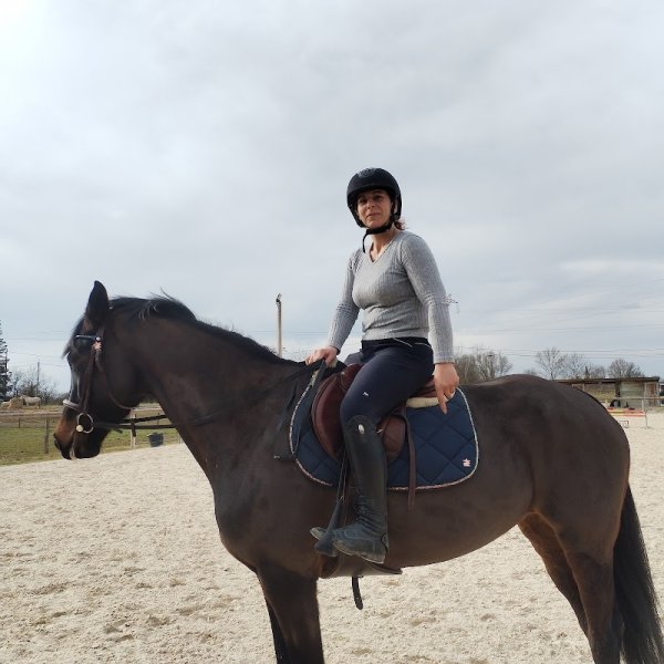 Ecurie Au pré du cheval - photo 3