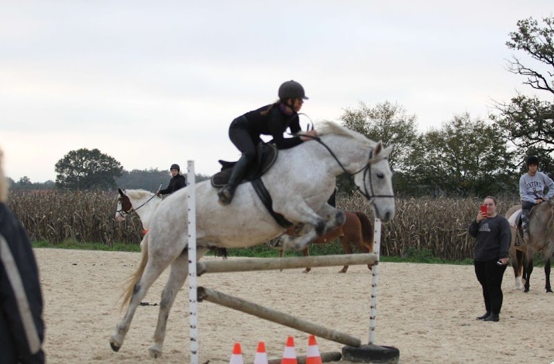 Ecuries La Cavalisa - photo 2