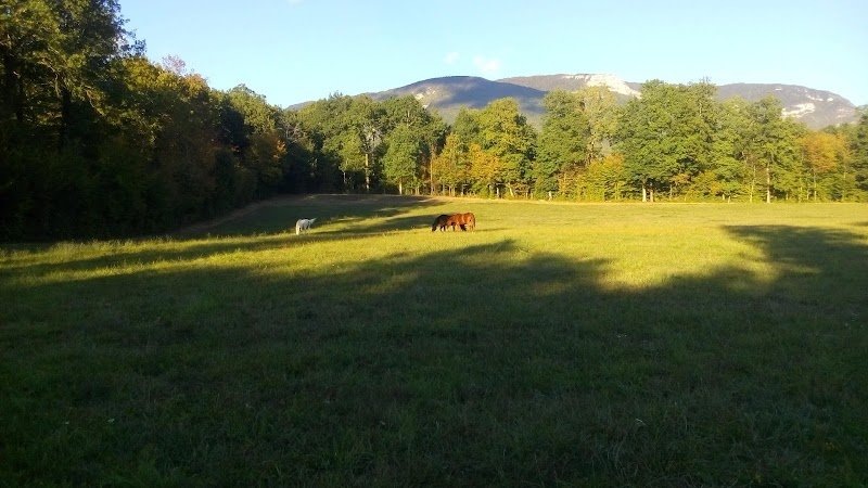 Ecuries de la Louve - photo 3