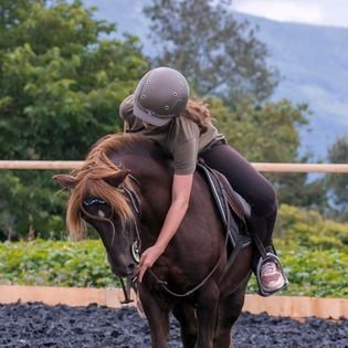 Ecurie les 3 graines - Equitation Raisonnée - photo 3