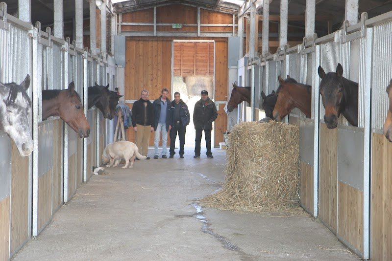 Ecurie du Levant - photo 2