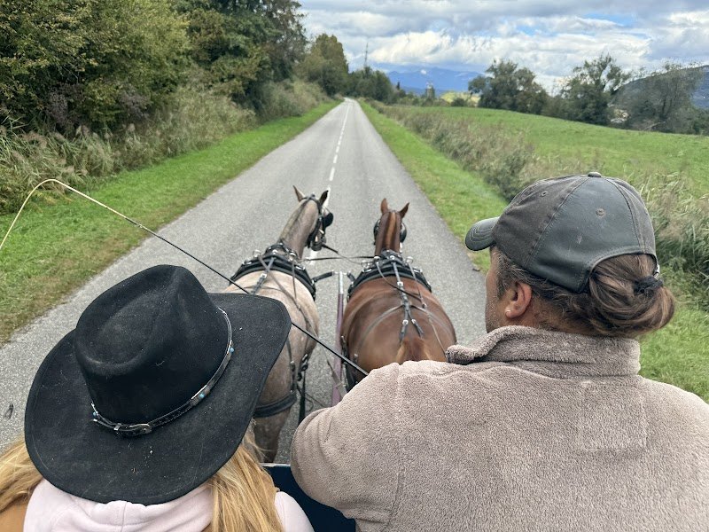 Les Ecuries de la Commanderie EARL - photo 1