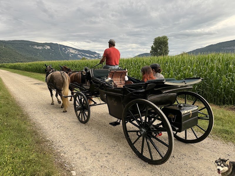Les Ecuries de la Commanderie EARL - photo 2