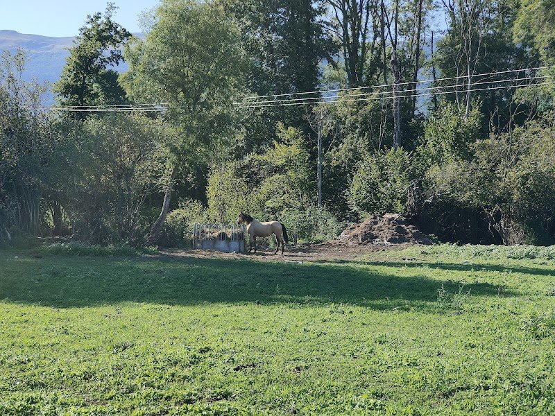 Écuries de Badian - photo 2