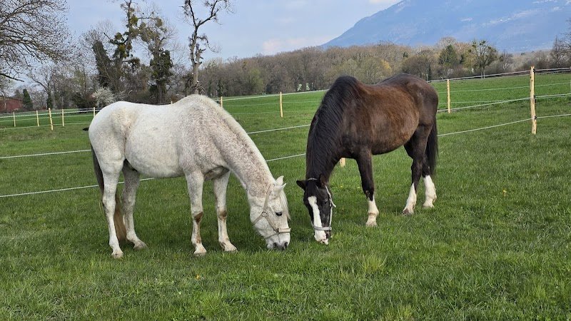 Écurie de la Seymaz