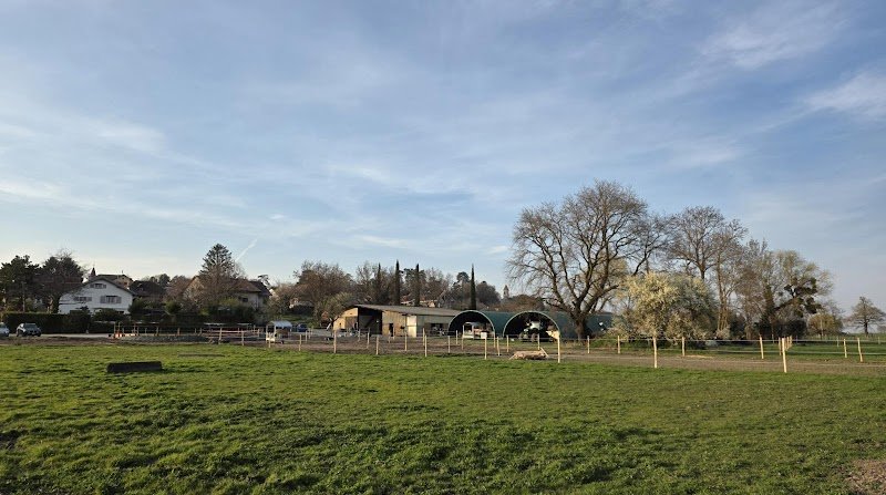 Écurie de la Seymaz - photo 2