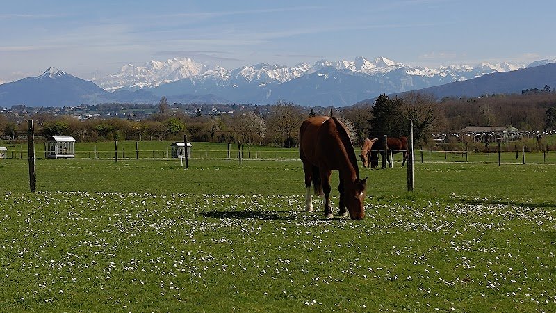 Ecuries Bison Blanc - photo 3