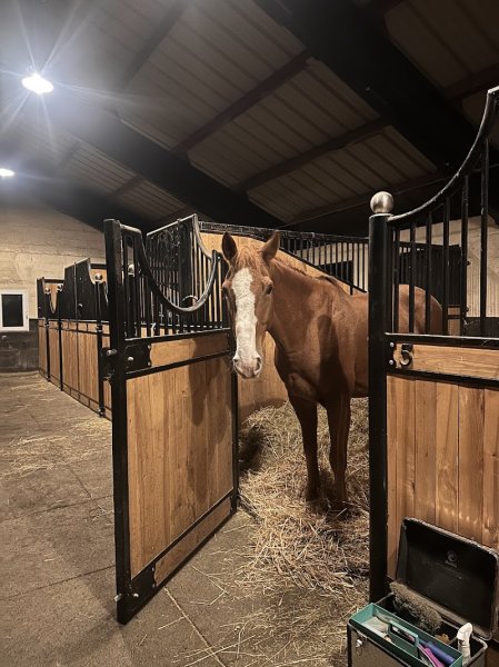 Ecurie de Vallière - photo 3