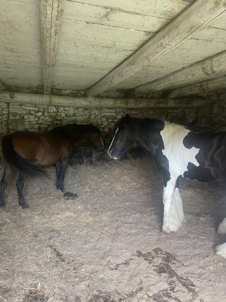 Les Ecuries De Mury - photo 3