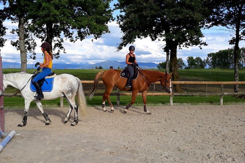 Les Ecuries du Rosey, poney-club - photo 2