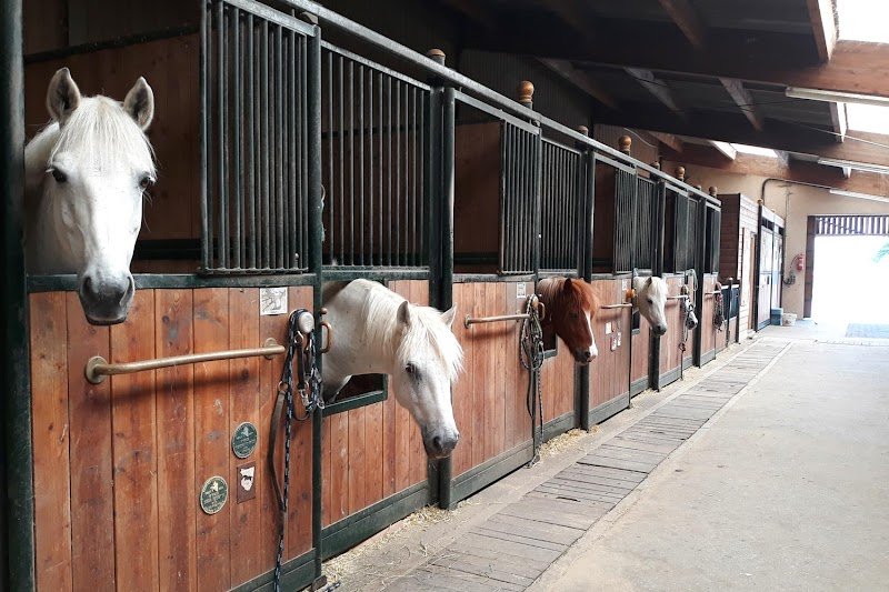 Les Ecuries du Rosey, poney-club - photo 3