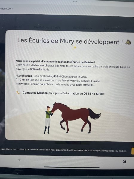 Poney Club Echenevex - photo 2