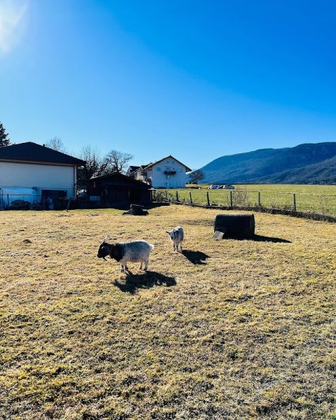 Les Ecuries du Domaine de Haute-Cour - photo 3