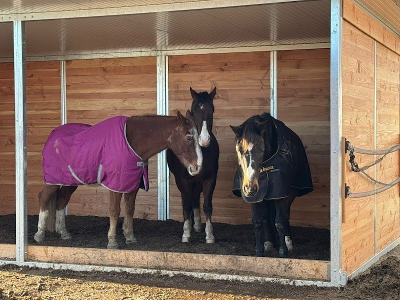 Ecurie du Tilleul - photo 2