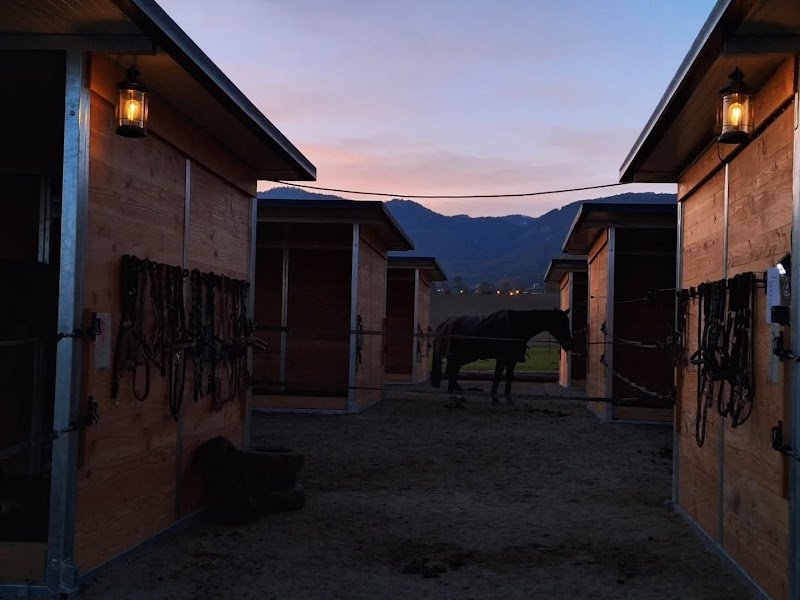 Ecurie du Tilleul - photo 3