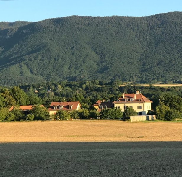 Écurie FH - Pension et centre équestre à Crassier - photo 1