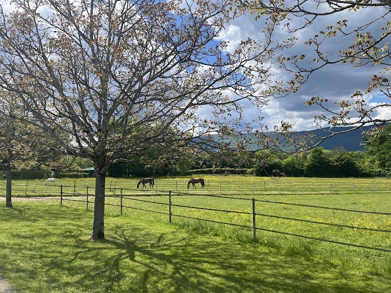 Écurie FH - Pension et centre équestre à Crassier - photo 2