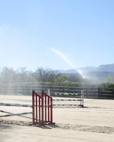 Écurie FH - Pension et centre équestre à Crassier - photo 3