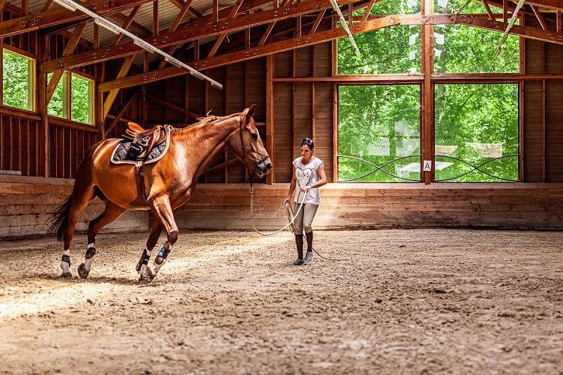 Segura Horse Team - photo 1