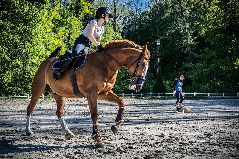 Segura Horse Team - photo 3