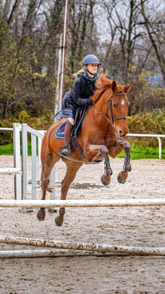 Centre Equestre - EQU AIN - photo 2