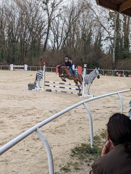 Centre Equestre - EQU AIN - photo 3
