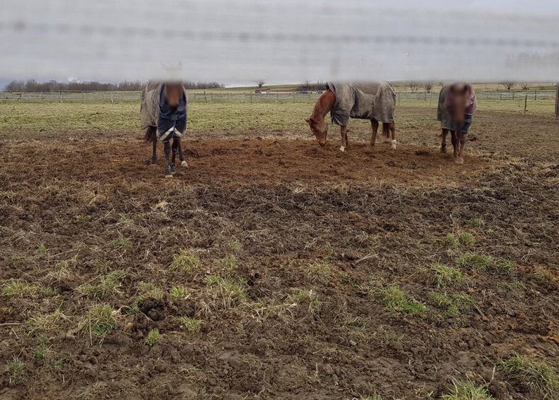 Ecuries de Marmé - photo 1