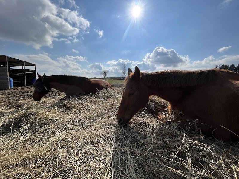 Ecuries de Marmé - photo 3