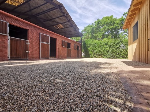 Balnéothérapie équine Lyon - Centre de remise en forme pour chevaux - EQUI HARMONIA