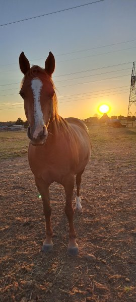 Pension Pré-ferré Roxane LAGER - photo 1
