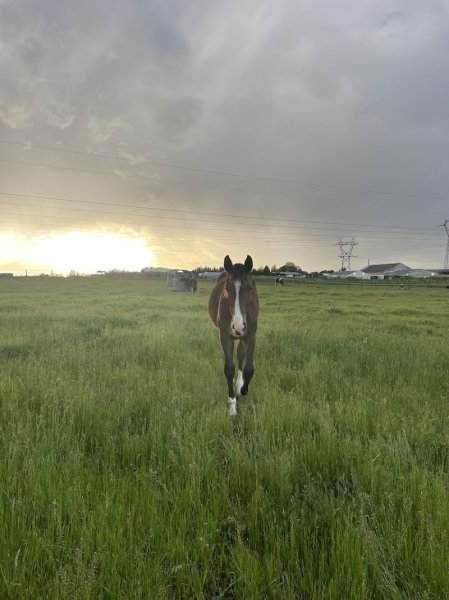 Pension Pré-ferré Roxane LAGER - photo 2
