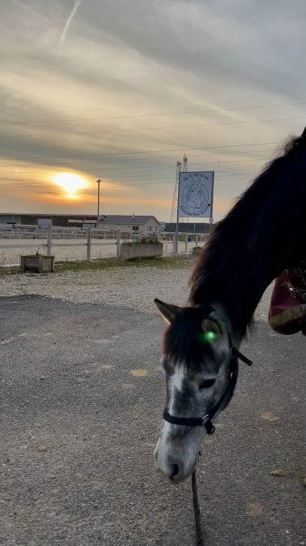 Pension Pré-ferré Roxane LAGER - photo 3