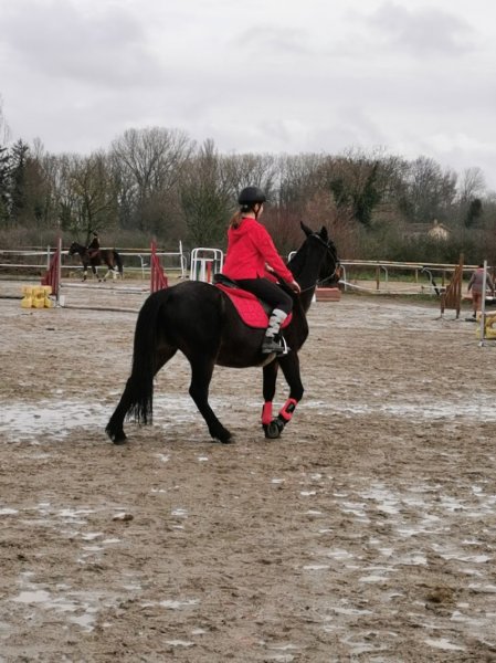 Les Ecuries des Marais - photo 2