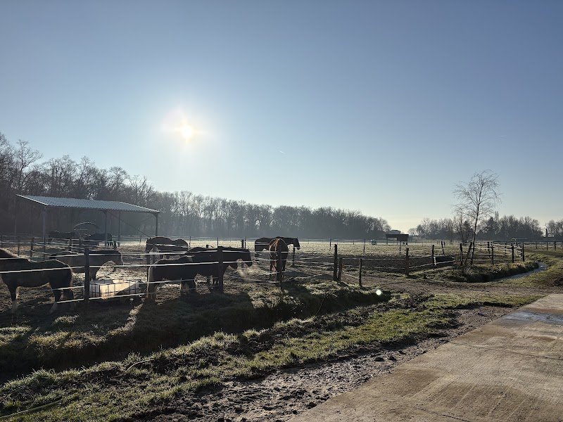 Les Écuries de Calanne - photo 2