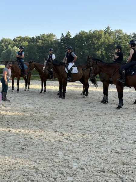 Les Écuries de Calanne - photo 3