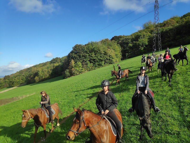 Les Ecuries de Pénélope - photo 3