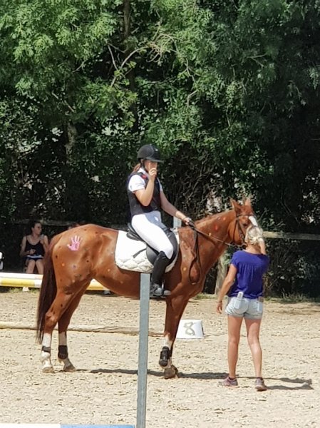 Ecurie Charret - photo 3